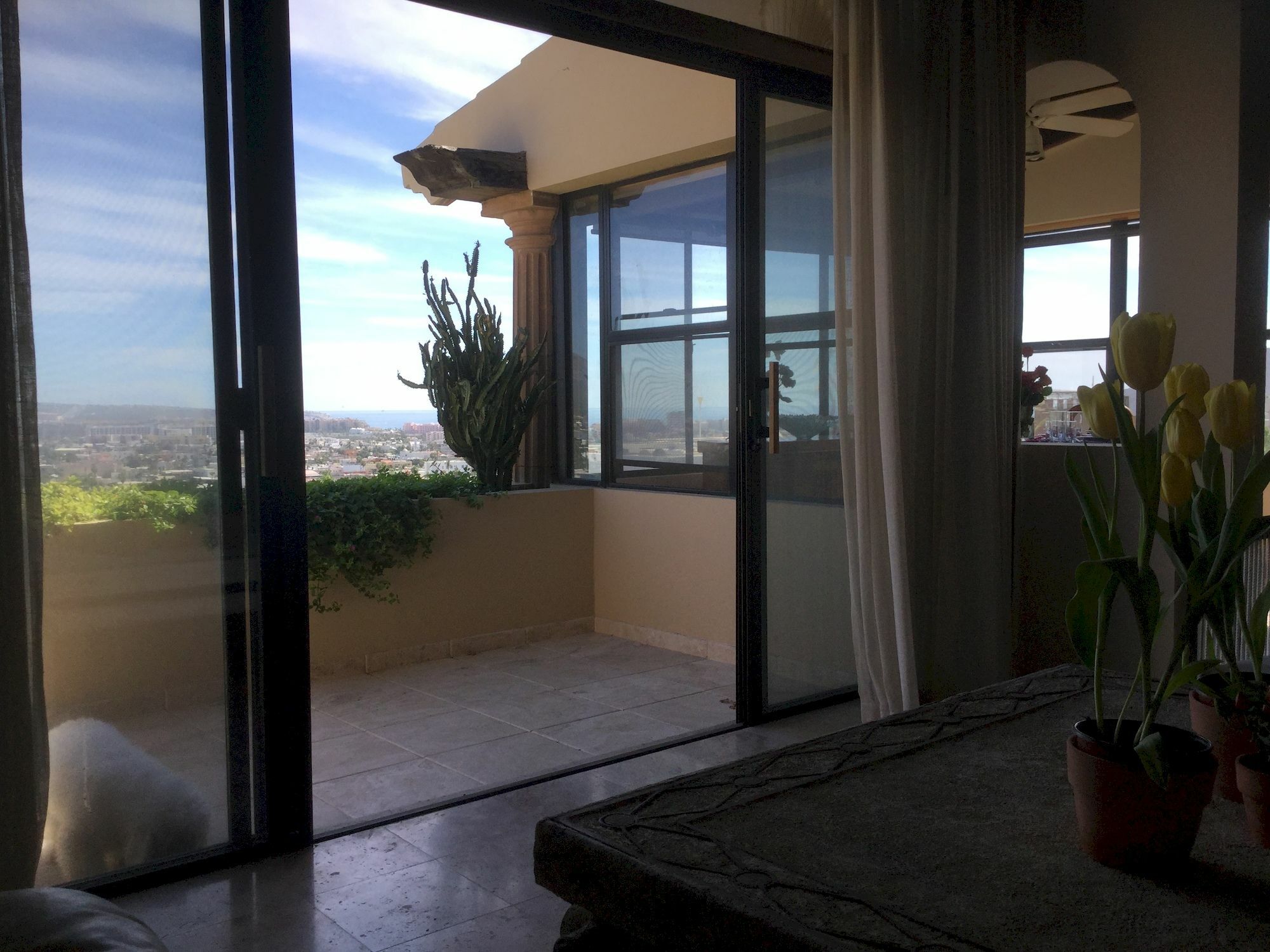 Sunrise Cove Luxury Penthouse Apartment กาโบซานลูกัส ภายนอก รูปภาพ